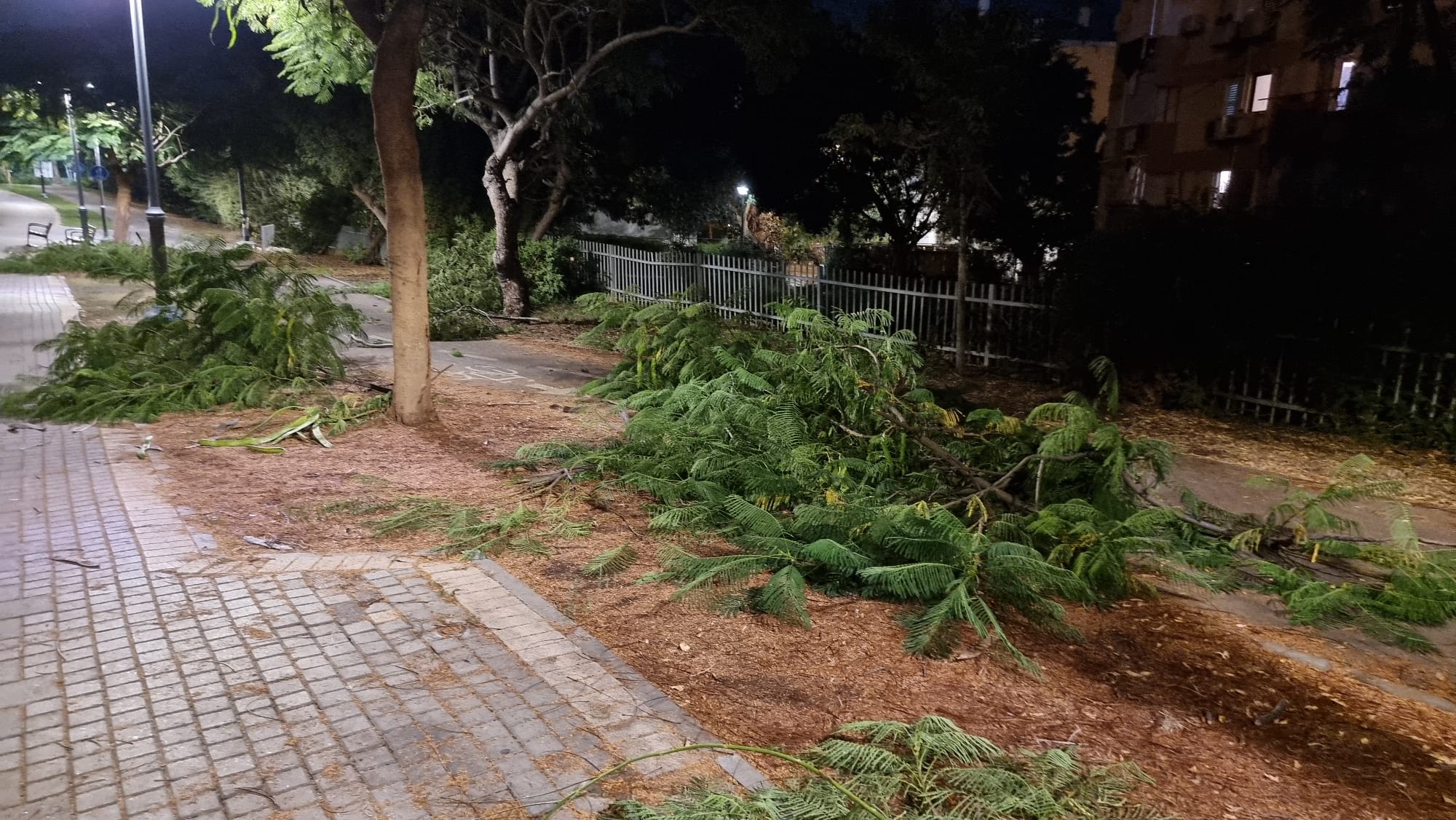 WhatsApp Image 2022-11-09 at 12.22.10 PM.jpeg